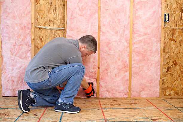 Best Insulation Installation Services in Becker, MN